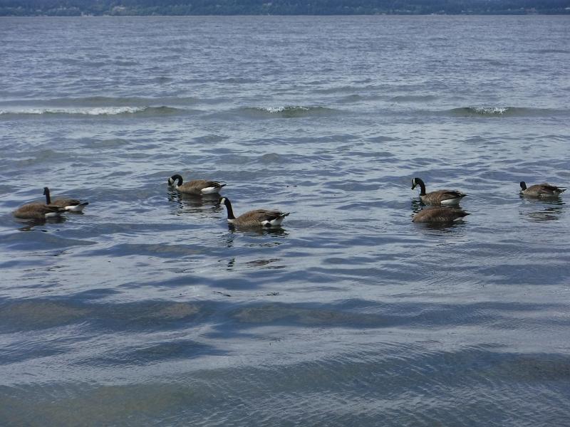 Máy ảnh Fujifilm FinePix XP130 (White) | Chính Hãng