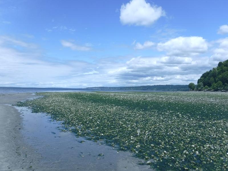 Máy ảnh Fujifilm FinePix XP130 Sky Blue