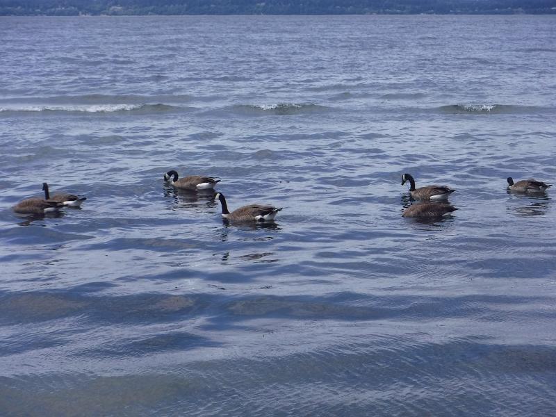 Máy ảnh Fujifilm FinePix XP130 Sky Blue