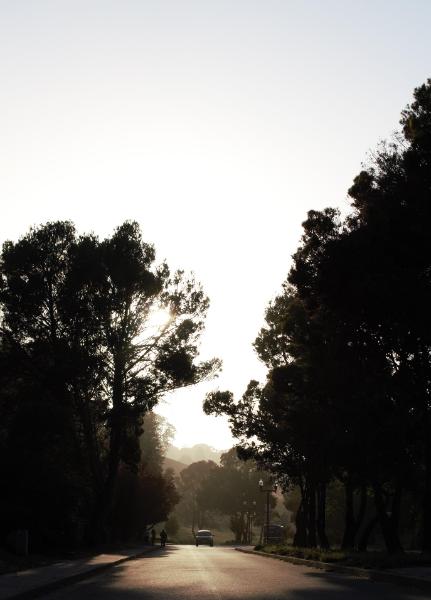 Máy ảnh Sony Alpha A6000 (Silver, Body Only) | Chính hãng Máy ảnh Sony Alpha A6000 (Silver, Body Only) | Chính hãng