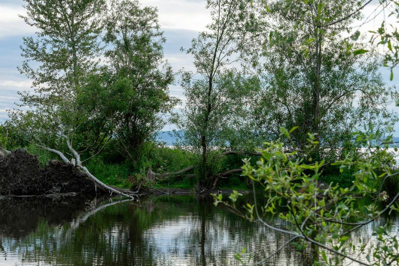 Máy ảnh Fujifilm X-T10 | Chính hãng