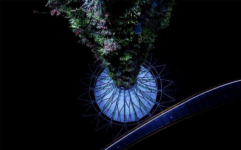 Máy ảnh Fujifilm X-A20 Máy ảnh Fujifilm X-A20