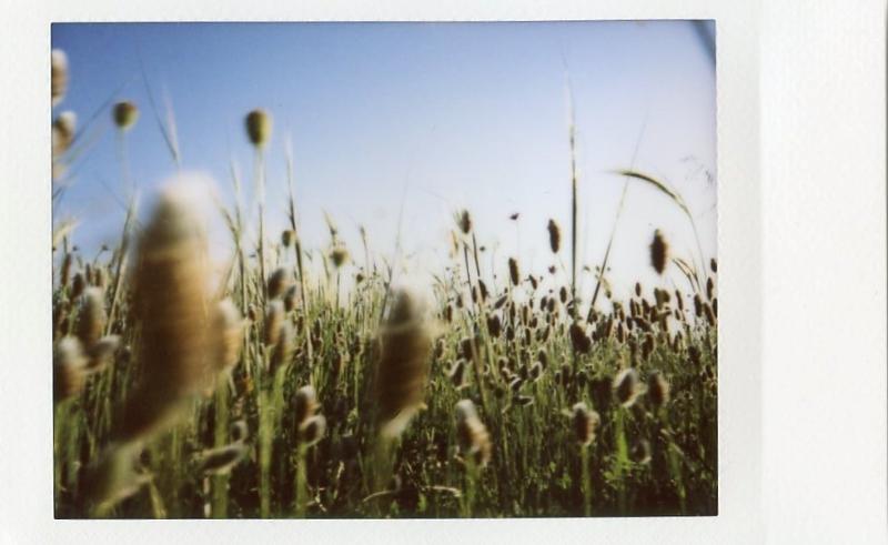 Máy ảnh Fujifilm Instax Mini 25