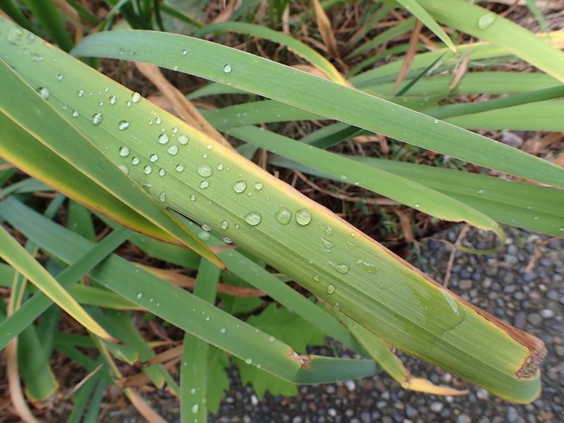 Máy ảnh Olympus OM-D E-M10 Mark IV kèm Lens 14-42mm EZ Máy ảnh Olympus OM-D E-M10 Mark IV kèm Lens 14-42mm EZ