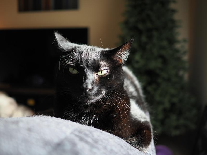 Máy ảnh OM SYSTEM OM-3 Body Silver kèm M.Zuiko Digital ED 12-45mm f/4.0 PRO