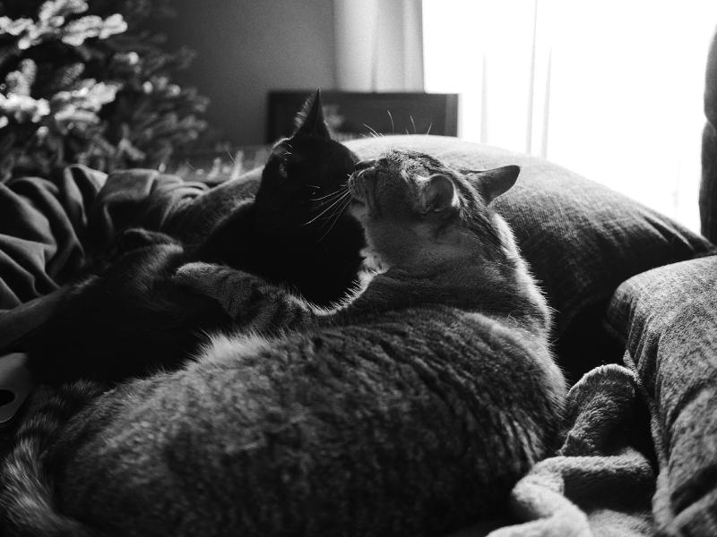 Máy ảnh OM SYSTEM OM-3 Body Silver kèm M.Zuiko Digital ED 12-45mm f/4.0 PRO