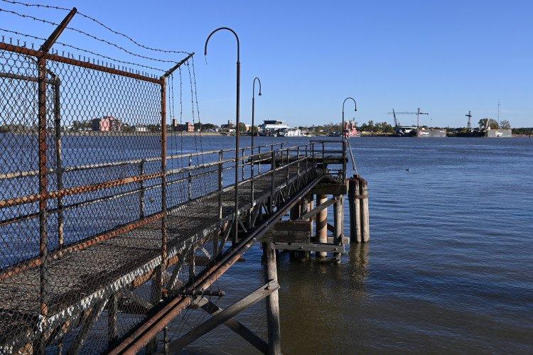 Nikon Z50 Mirrorless Camera kèm NIKKOR Z DX 16-50mm f/3.5-6.3 VR Lens Kit – chính hãng