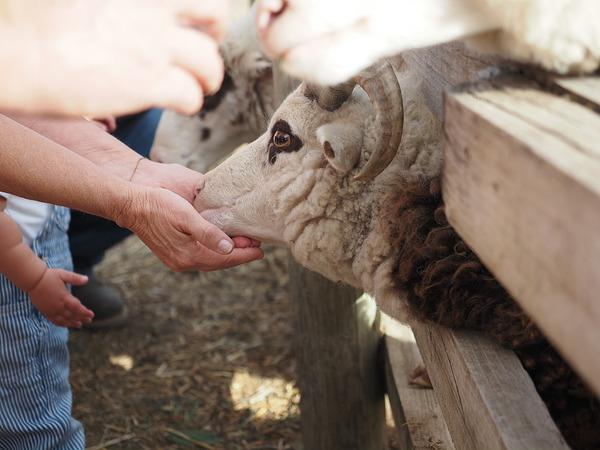 Máy ảnh OM SYSTEM OM-5 Mark II Body Black