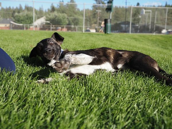 Máy ảnh OM SYSTEM OM-5 Mark II kèm 14-150mm Kit (Silver)