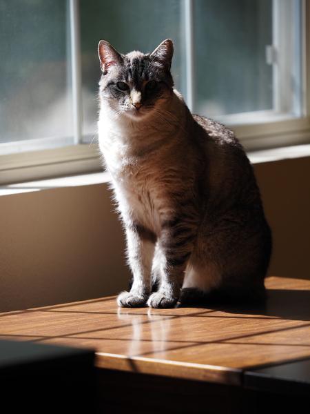 Máy ảnh OM SYSTEM OM-5 Mark II kèm 14-150mm Kit (Silver)