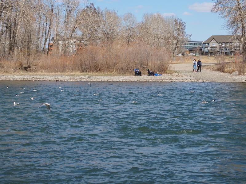 Máy ảnh OM-D E-M10 Mark IV 14-42mm EZ Kit Silver