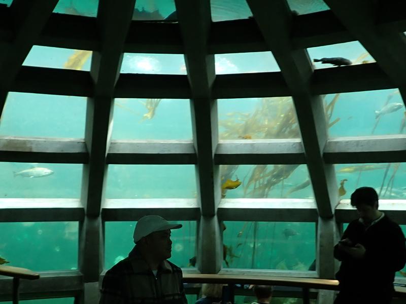 Máy ảnh Olympus Tough TG-7 (Red)