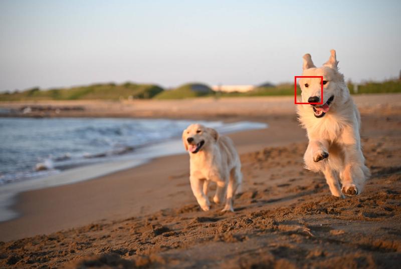 Máy ảnh Nikon Zf | Body Only | Silver (Chính hãng)